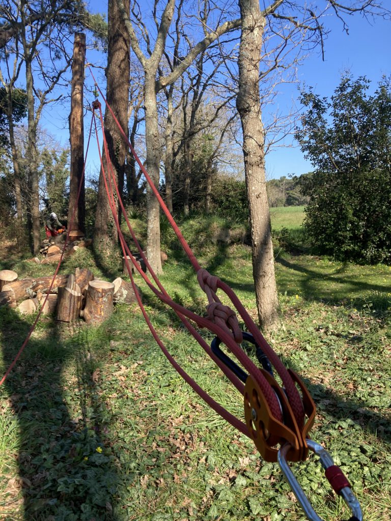 technique de mouflage abattage avec contrainte