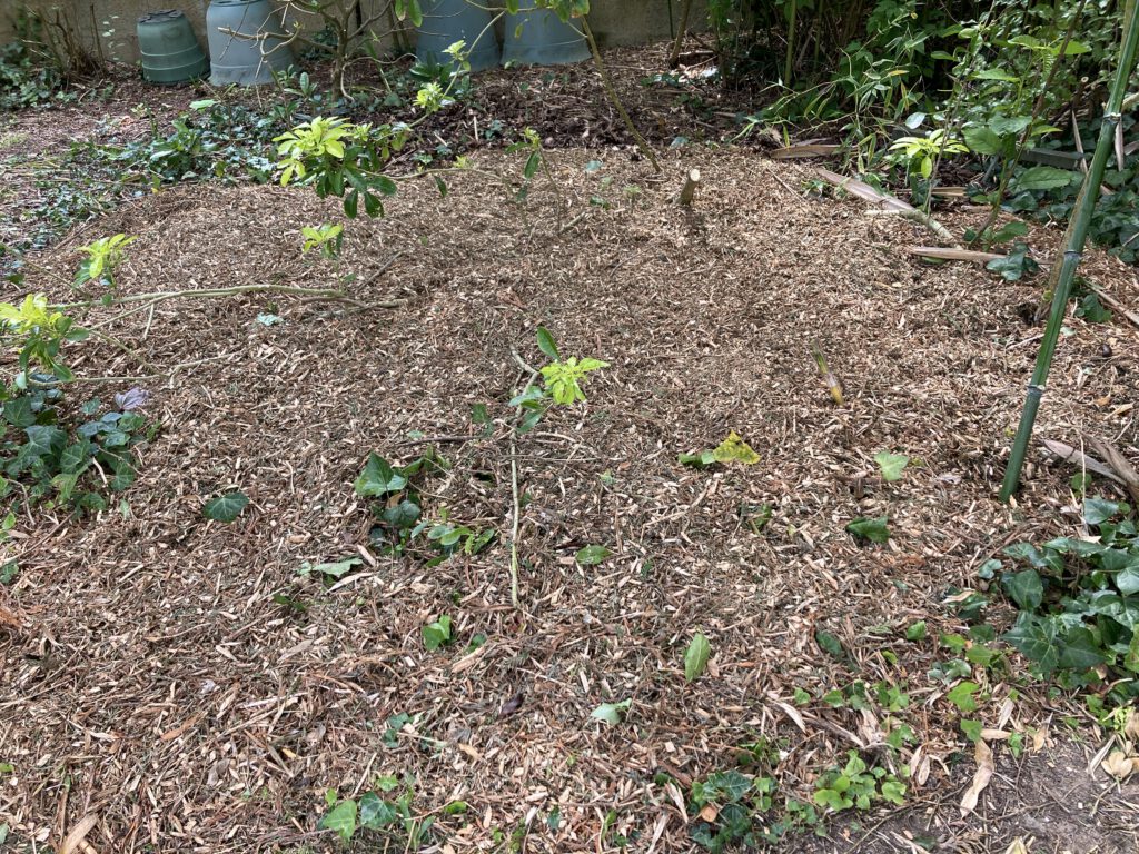 valorisation du broyat ( broyage branches)
